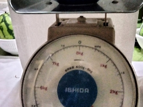 兵庫産夏武輝 中玉スイカ1玉　ご家庭用⑧