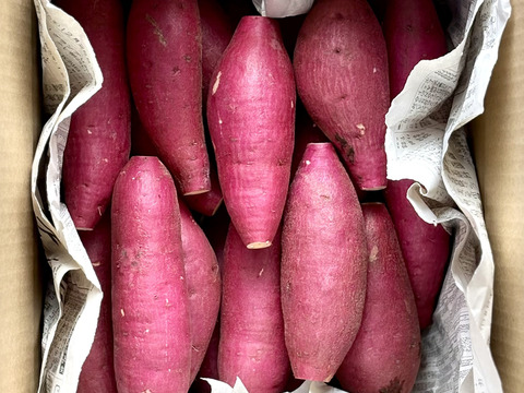 ちびちびサイズでもホックリサラリ‼︎「ゆきこまち」 2キロ箱