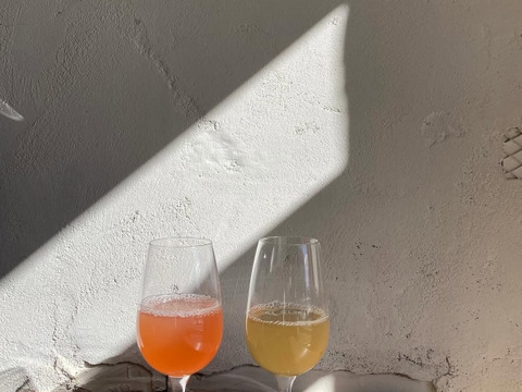 APB ストレートアップルジュース サンふじ100％ 1000ml