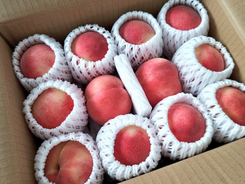 桃　あかつき　小玉　約2kg 数量限定
