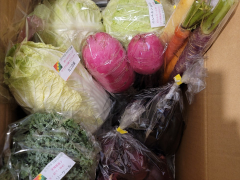 【常温便】レア野菜でキモチをUp！
『Ⅿサイズ★カラダ喜ぶ初夏野菜セット7品目』