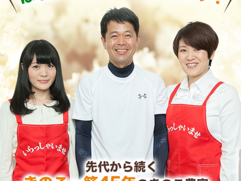 コリコリ新食感！はなびらたけお手軽10パック入り