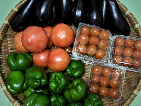 新鮮野菜セット完熟 トマト 茄子 ししとう 奈良県産 トマト+新鮮野菜