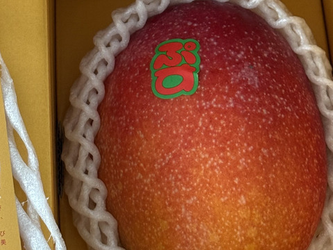 【2026夏ギフト】宮古島産完熟マンゴー1玉入り×2個セット