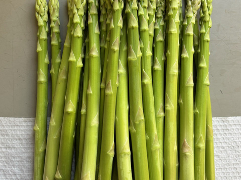 2025年北海道産！丁度よくて使いやすい！青空ファーム池田の青空アスパラ(L-2Lサイズ/1kg)