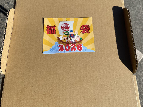 【ゲン担ぎ福袋】『あんぽ柿』10パック　しっとりトロッと冬の贅沢スイーツ