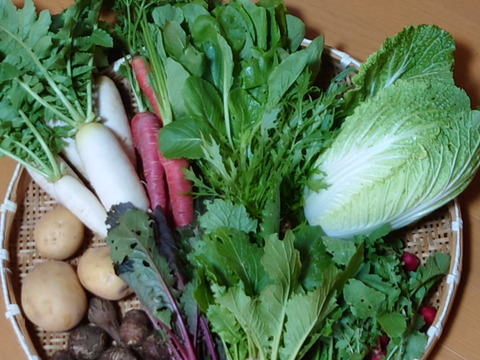 旬の野菜15種類詰め合わせセット