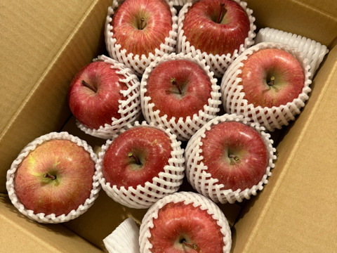 【販売中！人気商品】青森県産りんご「サンふじ」家庭用 キズ有 約3kg 【美味・光センサー選果済】