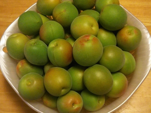 選別済みキズなし、30～45グラムの中・大粒の梅＜白加賀＞肉厚（2㎏）