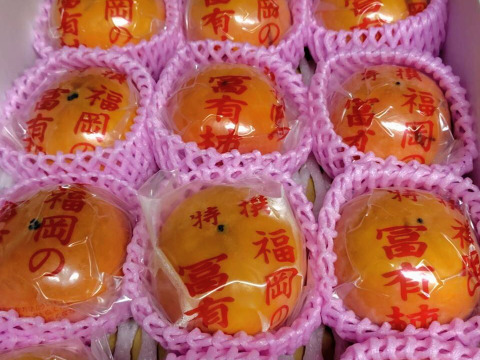 【ご家庭用（『小玉！』・少々キズあり）】冷蔵柿（富有柿）12個前後入り×２箱　福岡県久留米市田主丸町産