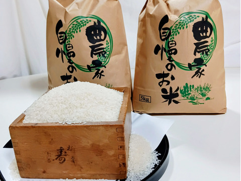 【数量限定】新潟県産コシヒカリ 令和7年度新米 白米 自家消費用お裾分け