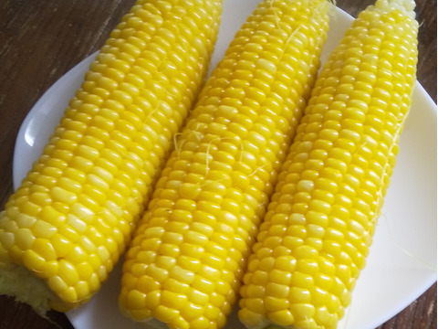 【夏ギフト】夏のお楽しみセット肉厚ネットメロンと生食OKフルーツとうもろこし《味来》または《恵ゴールド》