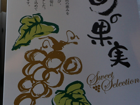 樹上完熟！岡山県備前市産びぜん葡萄【シャインマスカット】約1kg（2房前後）