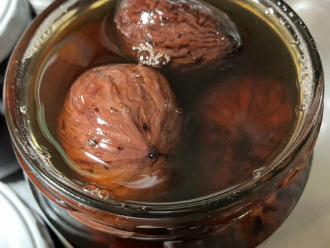 【栗の里❣️能勢栗】“岸根（がんね）”２Lサイズ以上🌰1kg、出荷まで氷温貯蔵。