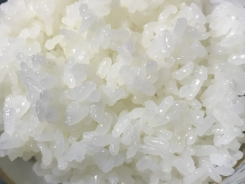 【新米7年】産精白米後9kgコシヒカリ