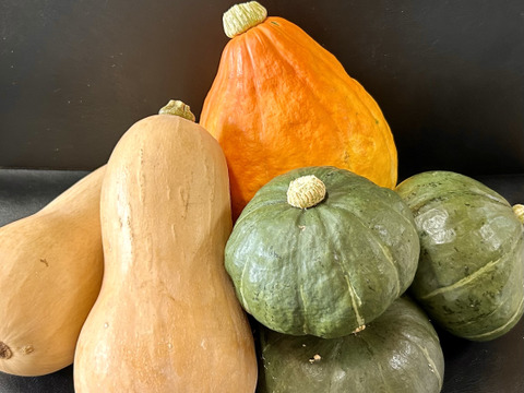 【おうち　de ハロウィン(^^♪】かぼちゃセット