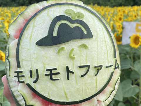 黒小玉スイカ（ひとりじめbonbonリッチ）２玉