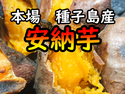 【本場】完熟！ねっとり！安納芋紅2S　5キロ【種子島産】