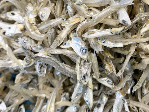 大きいサイズ しらす の大容量生姜佃煮セット 0g 4セット 800g 和歌山県産 食べチョク 農家 漁師の産直ネット通販 旬の食材を生産者直送