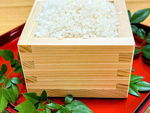 【令和7年産 こしひかり白米10㎏】　【9周年感謝祭】