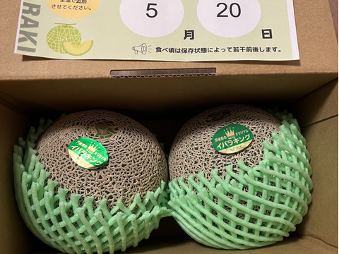 【糖度満点イバラキング】                                   口の中でとろけて飲める果実🍈