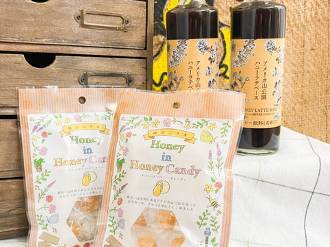 【福袋】はちみつが中からとろ～り♪人気の「ハニーインハニーキャンディ」2袋と、砂糖不使用、はちみつのすっきりした甘さが魅力の「ハニーラテベース」2本の、ホッとひといきセット