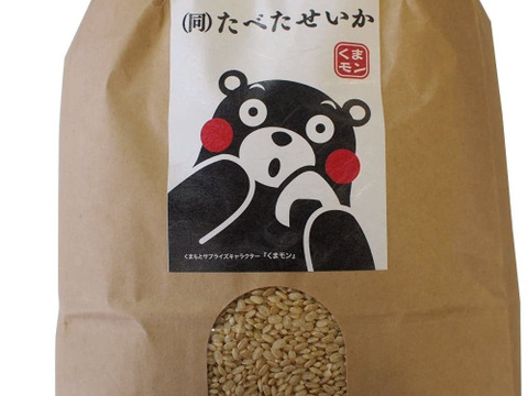 令和元年度産熊本産発芽玄米3kg