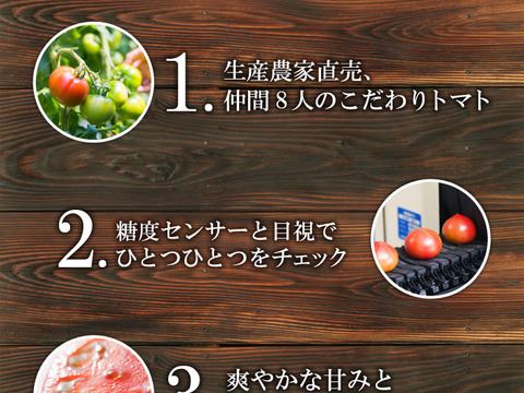 さわやかな甘味が特徴の徳用トマト5kg　宮崎県産