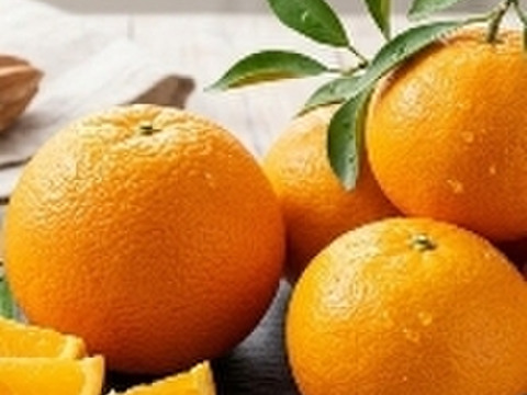 【本家・春峰】春を呼ぶプチプチ食感！爽やかな甘さがクセになる