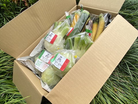 貴方がチョイス！アグリ―ジョ野菜お試しセット（３品）60サイズ