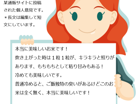 【令和6年 新米の予約】 雪国育ち 玄米 10kg  ミルキークイーン100%（5㎏×2袋） 岡山の雪国産