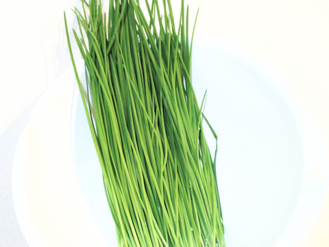 【まとめ買い用】あさつき100本 / 細ネギのようでネギでない♪ 発送翌日到着のゆうパックにて畑から直送♪