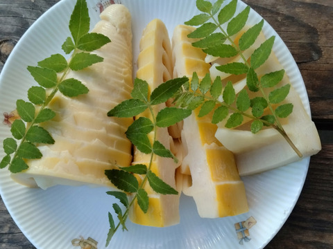 灰汁抜きワラビと筍水煮セット