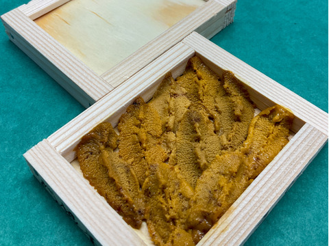 【入手困難】由良の黒ウニ/淡路島/本州ウニの最高峰【並】【小箱】