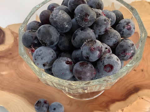 訳あり大特価！知多半島産【小粒冷凍ブルーベリー1㎏】