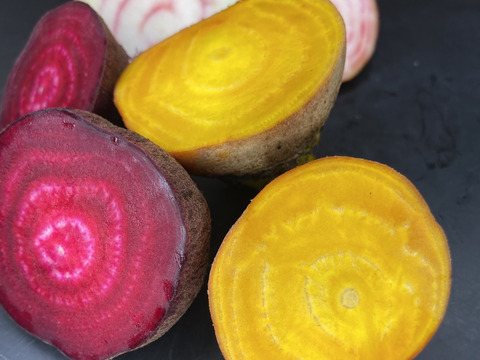 【食べくらべ】　京都産　ビーツ　カラフル3色　約1.5kg　(葉なし泥つき5～9個程度 )