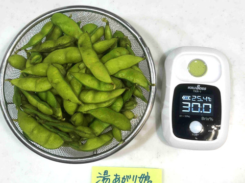 【予約開始】当園過去最高糖度は３０度😲問答無用別格の旨さ！枝豆【湯あがり娘】　２５０ｇ×４　８月下旬発送予定