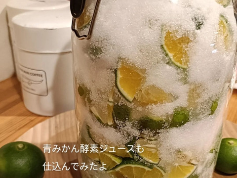 【青い高根島みかん】10月の摘果みかん【5kg】