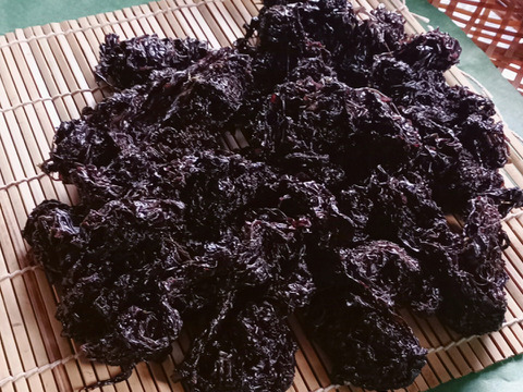 【期間限定】山形県産岩のり -５０ｇ