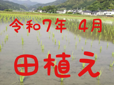 令和7年産 高知県産 新米 コシヒカリ 籾殻 4㎏(袋込み)