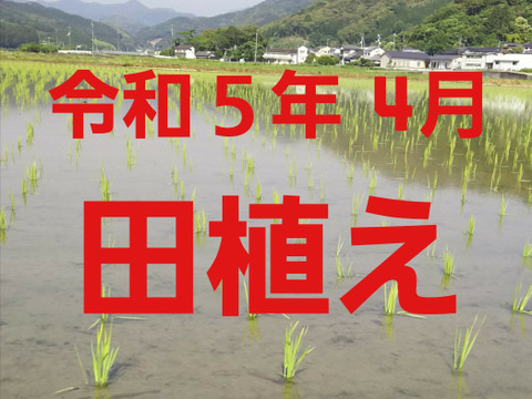 令和5年産 高知県産 新米コシヒカリ 玄米30㎏(袋込み)