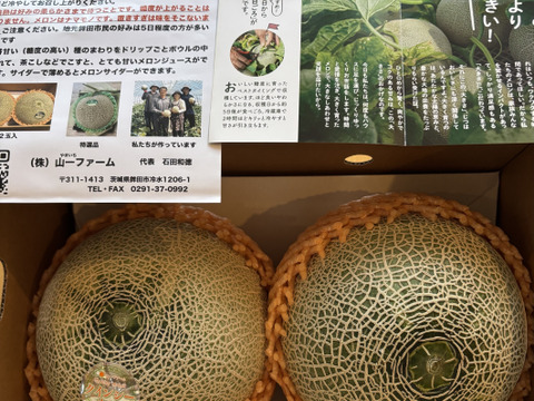 2024茨城メロン品評会グランプリ受賞👑クインシーメロン(5L特大2個入り)