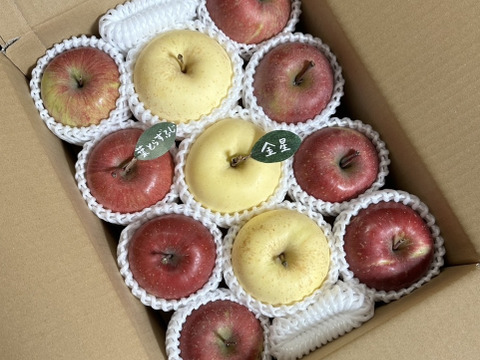 【縁起物】🍎葉とらずふじ⭐️金星（９～１１玉）約３キロ箱 ID179783