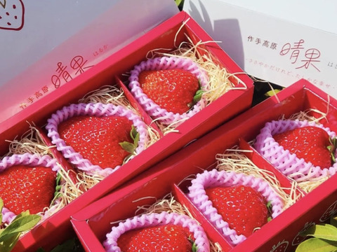 【数量限定】冷凍『晴果いちご』約1kg