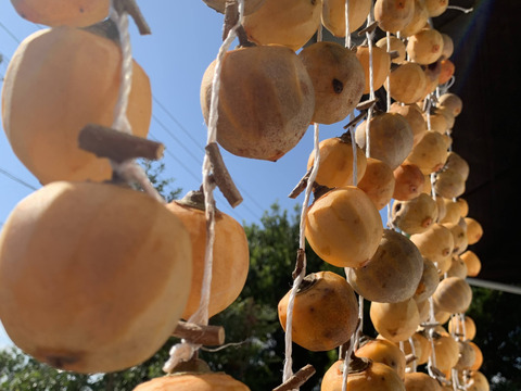 腸活に！おなかも喜ぶ！あま〜い干し柿200g〈農薬・化学肥料不使用、無添加〉