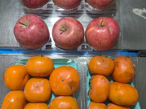 熟した柿とリンゴの箱詰め