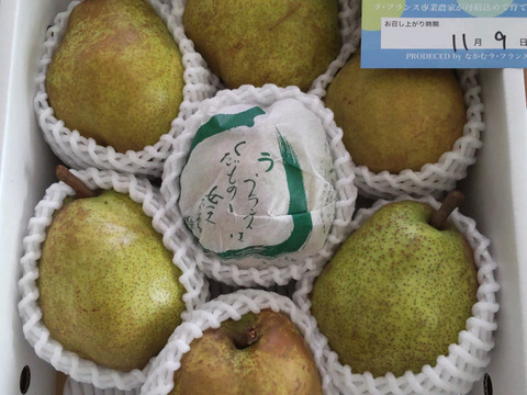 【ラフランス専業農家が贈る🍐】大玉ラ・フランス3ｋｇ ７〜８玉入り【特秀品】【冬ギフト】熨斗対応可【贈答用】