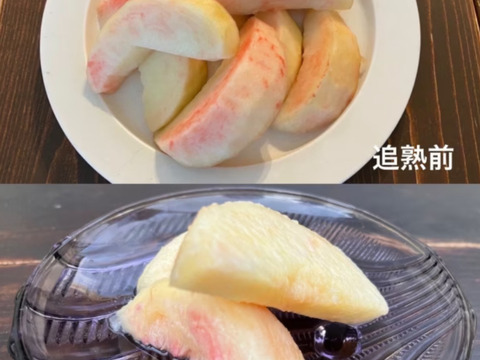 《予約商品》８月上旬～ 桃 あかつき 5キロ箱 13～18玉