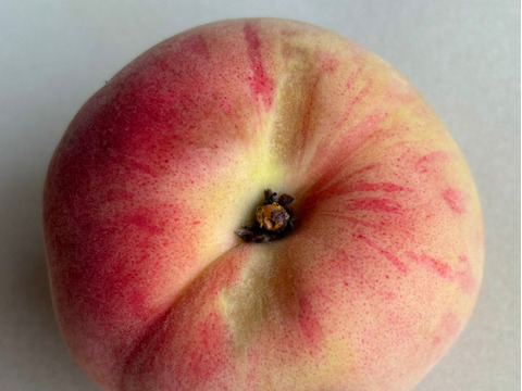 【家庭用】山梨県産桃　日川白鳳　4～6玉