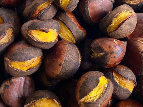 【ゲン担ぎ福袋】数量30個限定！！熟成させた糖度30度越えのほくほくしっとり焼き栗300ｇ＆大粒冷凍栗500ｇのセット